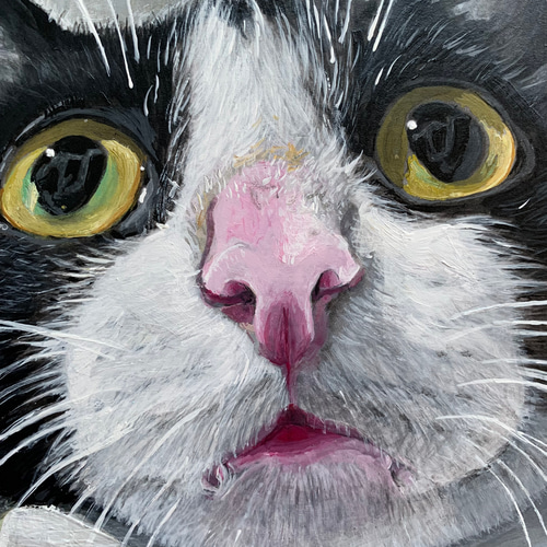 絵/絵画/猫/A4/アクリル画/原画/手書き/ハチワレ/イラスト 絵画 大橋