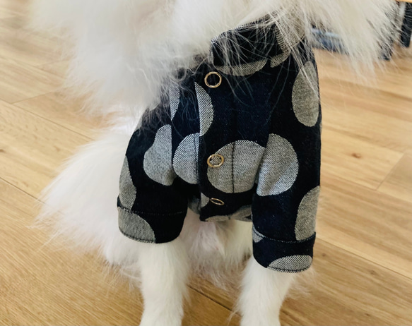 【型紙】犬服　スタンドカラーラグラン半袖シャツ 6枚目の画像