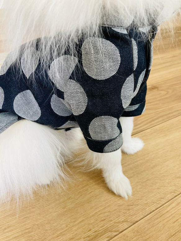 【型紙】犬服　スタンドカラーラグラン半袖シャツ 5枚目の画像
