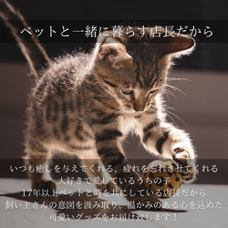 ペット　グッズ　オリジナル　写真　うちの子　スマホケース　iPhoneケース　猫　犬　記念日　贈り物　ペット用品　母の日 10枚目の画像