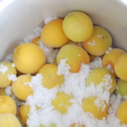 ぬか漬けの秋！【岐阜県多治見産】えんける道具店の甕（かめ）4リットル 10枚目の画像