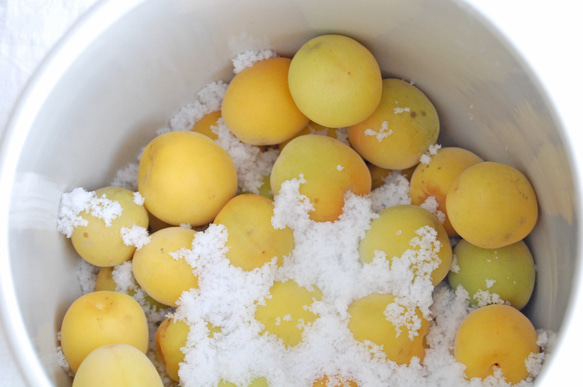 ぬか漬けの秋！【岐阜県多治見産】えんける道具店の甕（かめ）4リットル 10枚目の画像