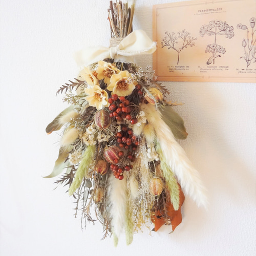 秋色ドライフラワースワッグvol.5 スワッグ hime-flower 通販 14784997