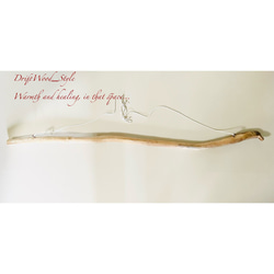 流木インテリア コブのある真っすぐな大型ハンガーラック 北欧 衣装掛け ハンギング 吊り下げ ハンガーポール 癒し 9枚目の画像