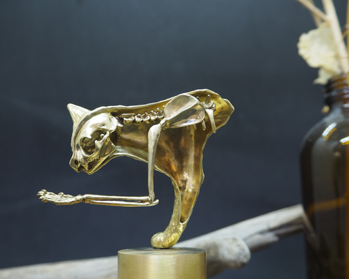 f09a824be41dfbadea1cba9242feb3