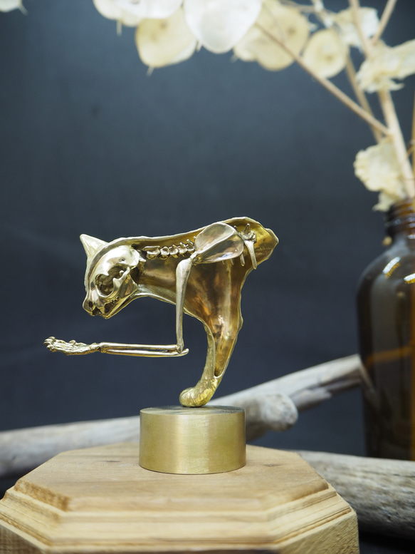 暗黙の了解で。 NO.06 猫の半骨飾り/真鍮 立体・オブジェ 芝一。 通販