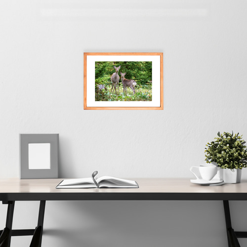 A4、A3可能】深い森の親子鹿・北海道動物写真 写真・グラフィック 森星