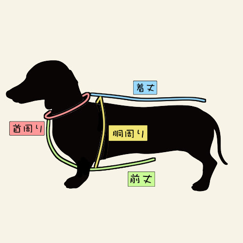 犬服冬用　ボーダー柄黒2枚＋青＋赤