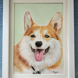 色鉛筆画　犬　No 32 原画手描き　 1枚目の画像