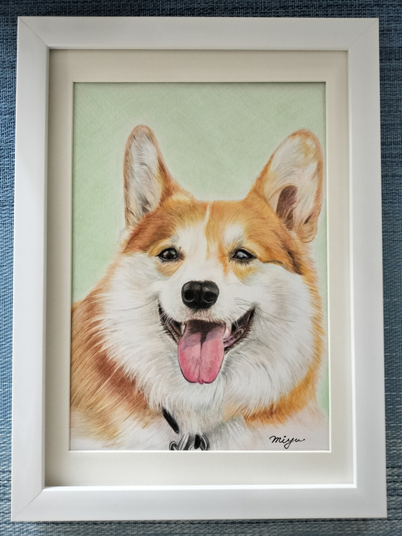 色鉛筆画　犬　No 32 原画手描き　 1枚目の画像
