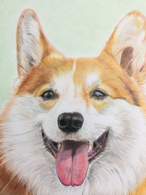 色鉛筆画　犬　No 32 原画手描き　 5枚目の画像