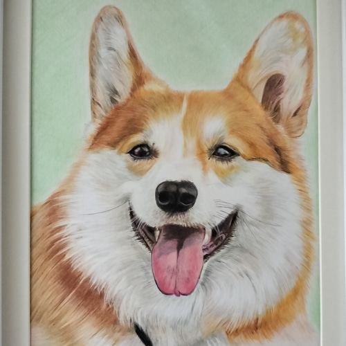 色鉛筆画 犬 No 32 原画手描き イラスト MIYU'sアート miyu 通販 色鉛筆画 犬 No 32 原画手描き イラスト MIYU'sアート miyu 通販