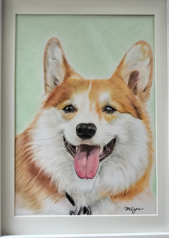 色鉛筆画　犬　No 32 原画手描き　 2枚目の画像