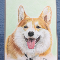 色鉛筆画　犬　No 32 原画手描き　 3枚目の画像