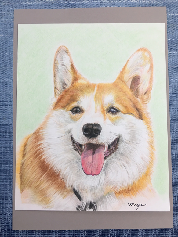 色鉛筆画　犬　No 32 原画手描き　 3枚目の画像