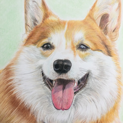 色鉛筆画　犬　No 32 原画手描き　 4枚目の画像