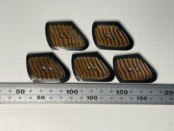 <送料無料>  水牛角ボタン　C019 7枚目の画像