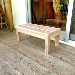 うんてい ブレキエーション スラックライン 鉄棒 室内 遊具