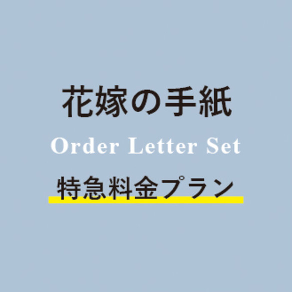 特急料金1100円　オーダー商品 1枚目の画像