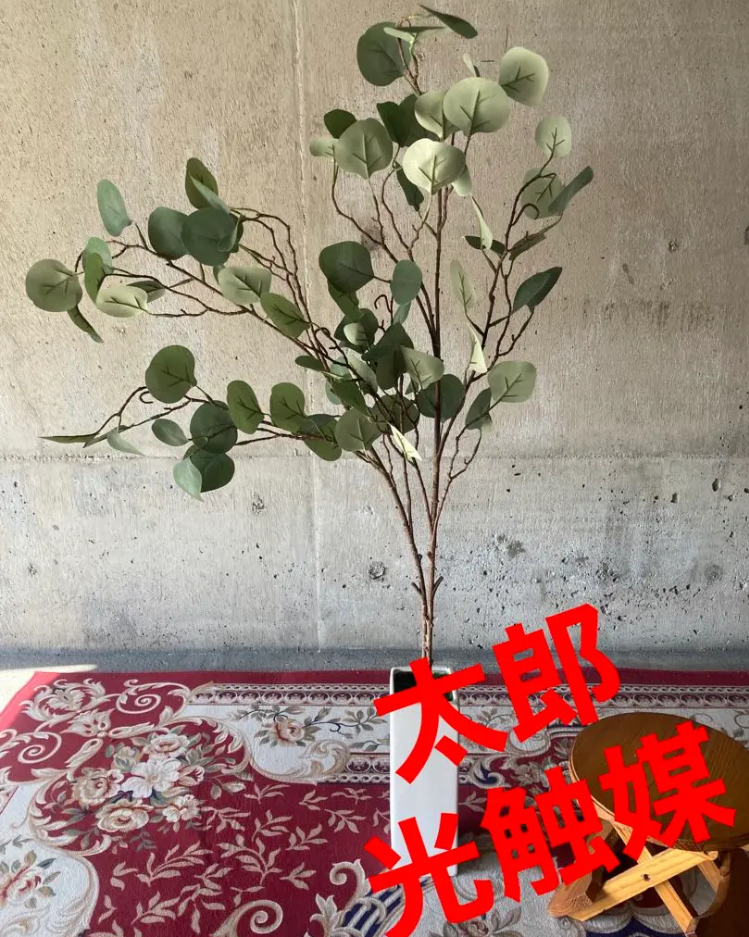 光触媒人工観葉植物ウォールグリーンフェイクフラワーハンドメイド　ユーカリポポラス花器付