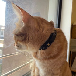猫の着せ替えセーフティ首輪　dress up cat collar ※受注生産作品 10枚目の画像
