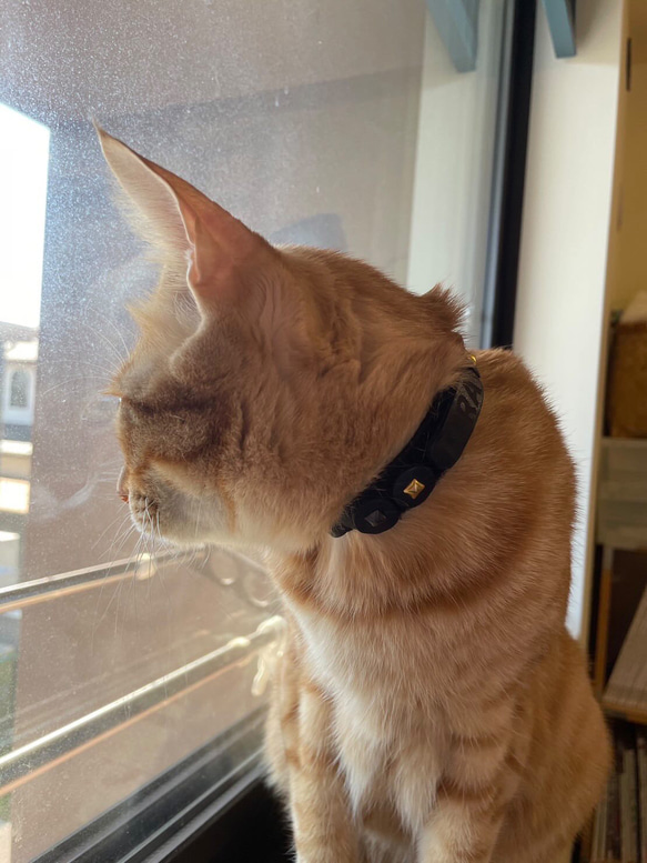 猫の着せ替えセーフティ首輪　dress up cat collar ※受注生産作品 10枚目の画像