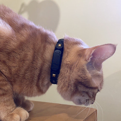 猫の着せ替えセーフティ首輪　dress up cat collar ※受注生産作品 9枚目の画像