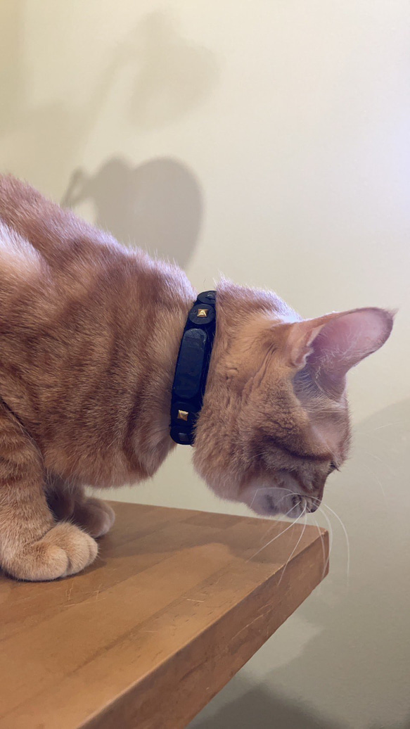 猫の着せ替えセーフティ首輪　dress up cat collar ※受注生産作品 9枚目の画像