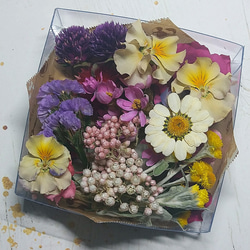 ドライフラワー素材　お花の詰め合わせ　B 1枚目の画像