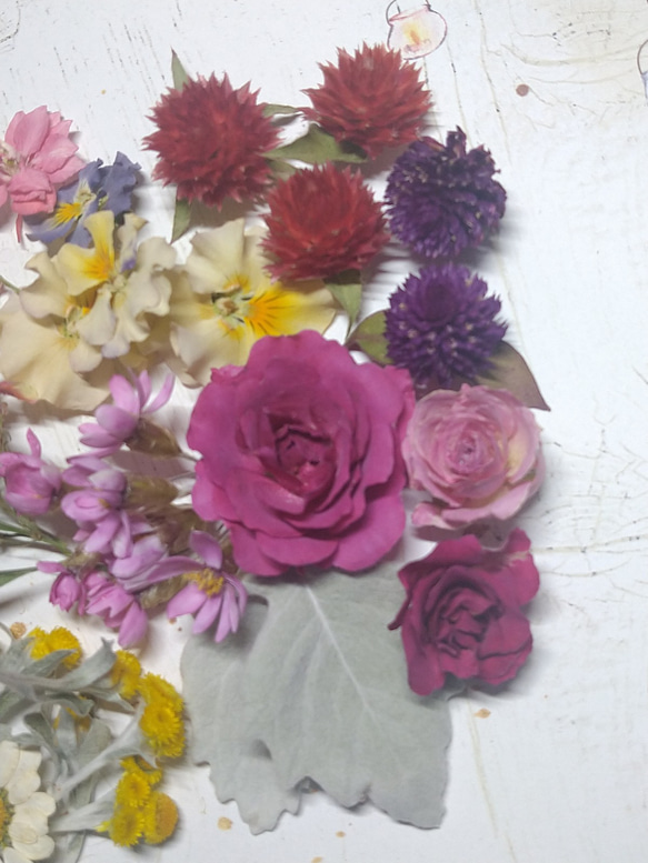 ドライフラワー素材　お花の詰め合わせ　B 4枚目の画像