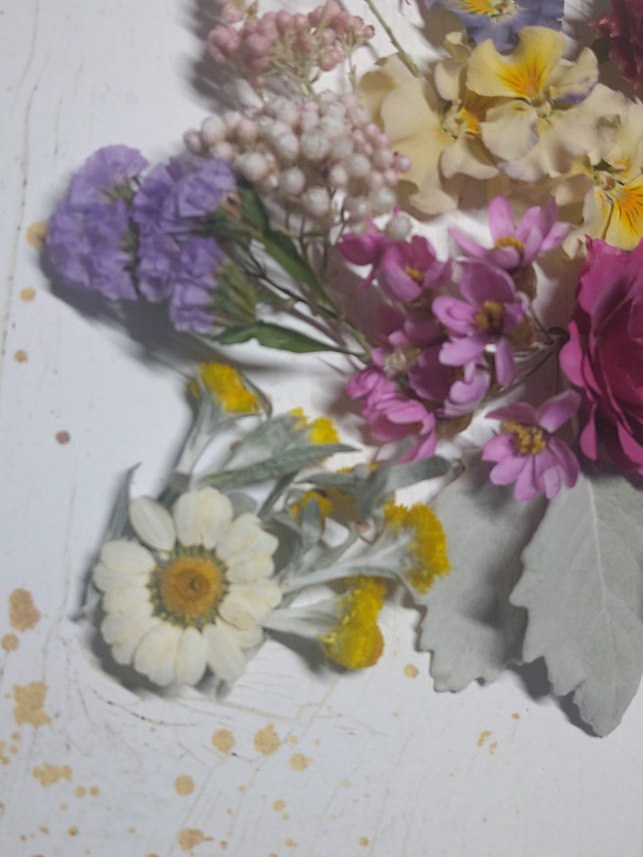 ドライフラワー素材　お花の詰め合わせ　B 5枚目の画像