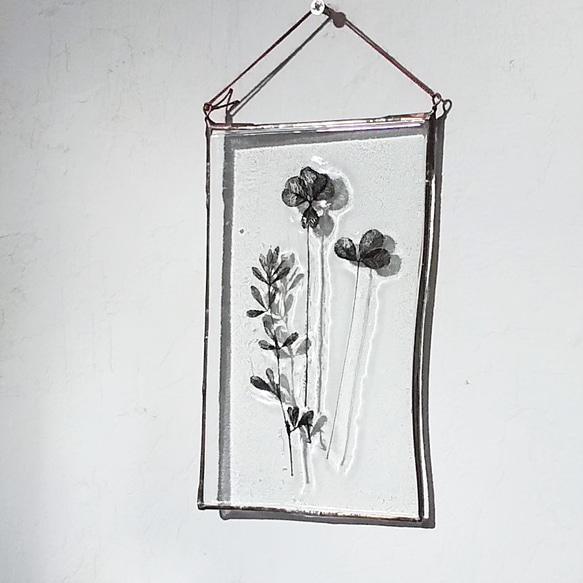 「Botanical Card/四つ葉のクローバーとヤハズソウ」ガラス　植物標本　オーナメント 4枚目の画像