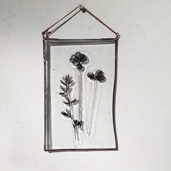 「Botanical Card/四つ葉のクローバーとヤハズソウ」ガラス　植物標本　オーナメント 2枚目の画像
