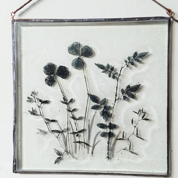 「Botanical Panel/Wildflowers」ガラス　植物標本　壁掛け 3枚目の画像