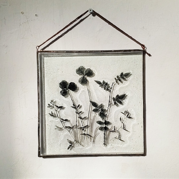「Botanical Panel/Wildflowers」ガラス　植物標本　壁掛け 2枚目の画像