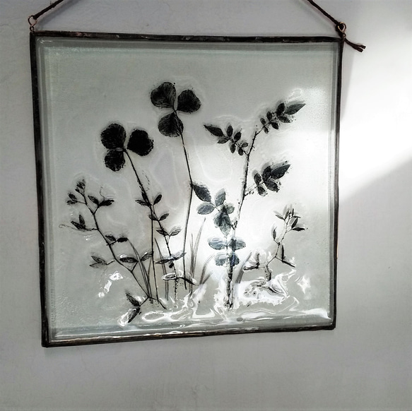 「Botanical Panel/Wildflowers」ガラス　植物標本　壁掛け 1枚目の画像