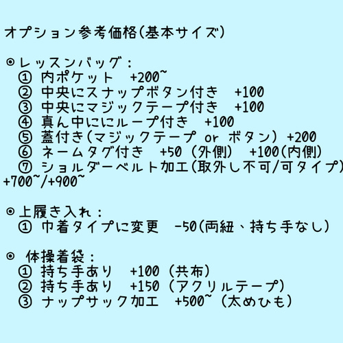 入園 入学 用品☆ レッスンバッグ オーダー 受注注文 受付中 男の子