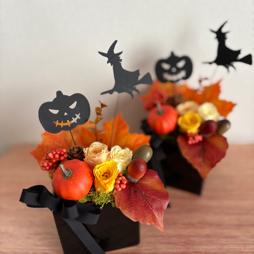 プリザーブドフラワーアレンジメント WinterApple pumpkin 秋限定2025 魔女とパンプキン ハロウィンアレンジメント プリザーブド