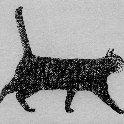 横向きの猫/銅版画(額あり） 版画 Atelie Gray 通販 14790377｜Creema