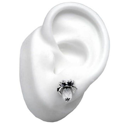蜘蛛耳環透明/925 銀一隻耳朵/第二隻耳環保留/哥特式/snd087 第3張的照片