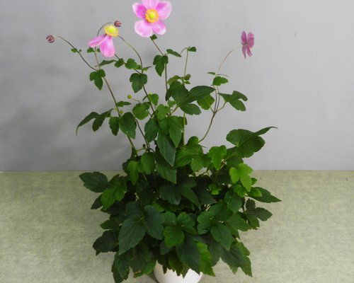 140d99410134c4cc6f2183fd9fa9b7