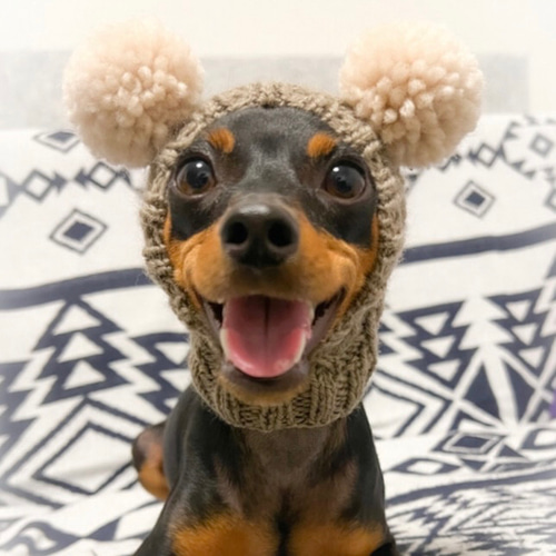 犬プリント ベレー帽 茶色 帽子