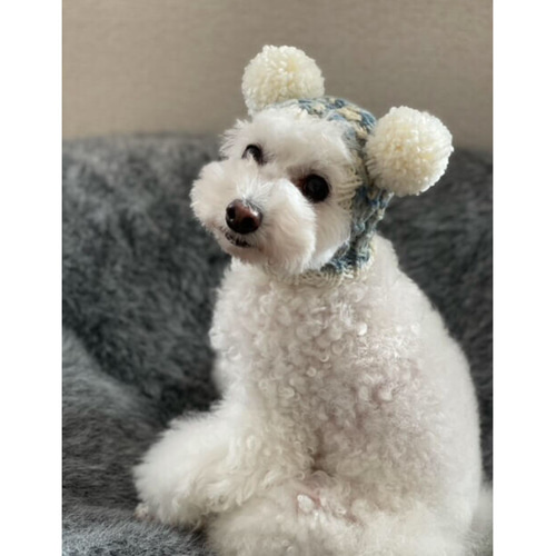 2点ご購入用♡ 大人気♪ ツインテールのフェアリー帽子 □ 犬