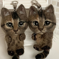 受注商品 白猫 MとLの中間サイズ サンプルページ オーダー 羊毛