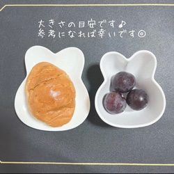 出産祝い　女の子　名前入り　ベビー　キッズ　食器３点セット　うさぎ　離乳食　お食い初め　誕生日　陶器 7枚目の画像