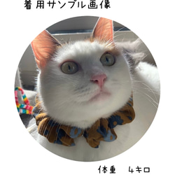 猫首輪　シュシュ首輪　【秋色】オリジナルチャーム付き　猫首輪　エレガント首輪 4枚目の画像