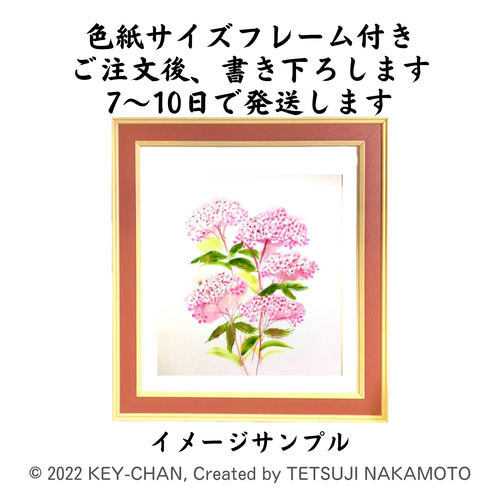 きょうの花「シモツケソウ」色紙作品番号BF1013 絵画 キーちゃん