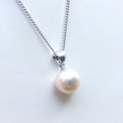 【SV925】一粒 真珠 ネックレス(9mm・あこや真珠) 1枚目の画像