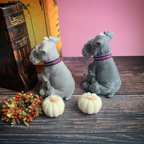 今だけソイミニパンプキン付き！シュナキャンドル ソイキャンドル