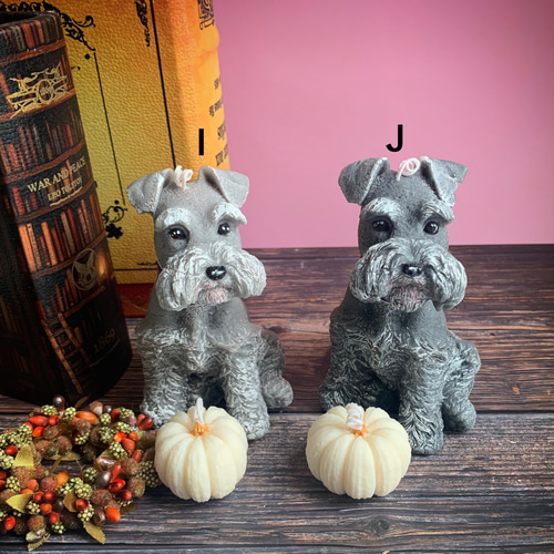 今だけソイミニパンプキン付き！シュナキャンドル ソイキャンドル